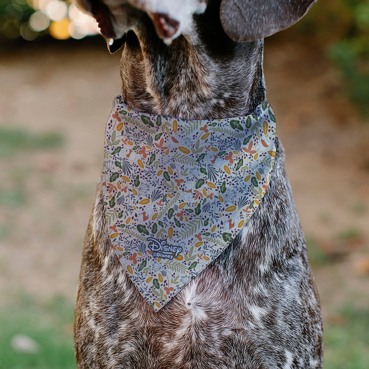 Pet Bandana - Winnie the Pooh Smiling Face/Foliage Collage Beige/Green/Orange/Yellow 