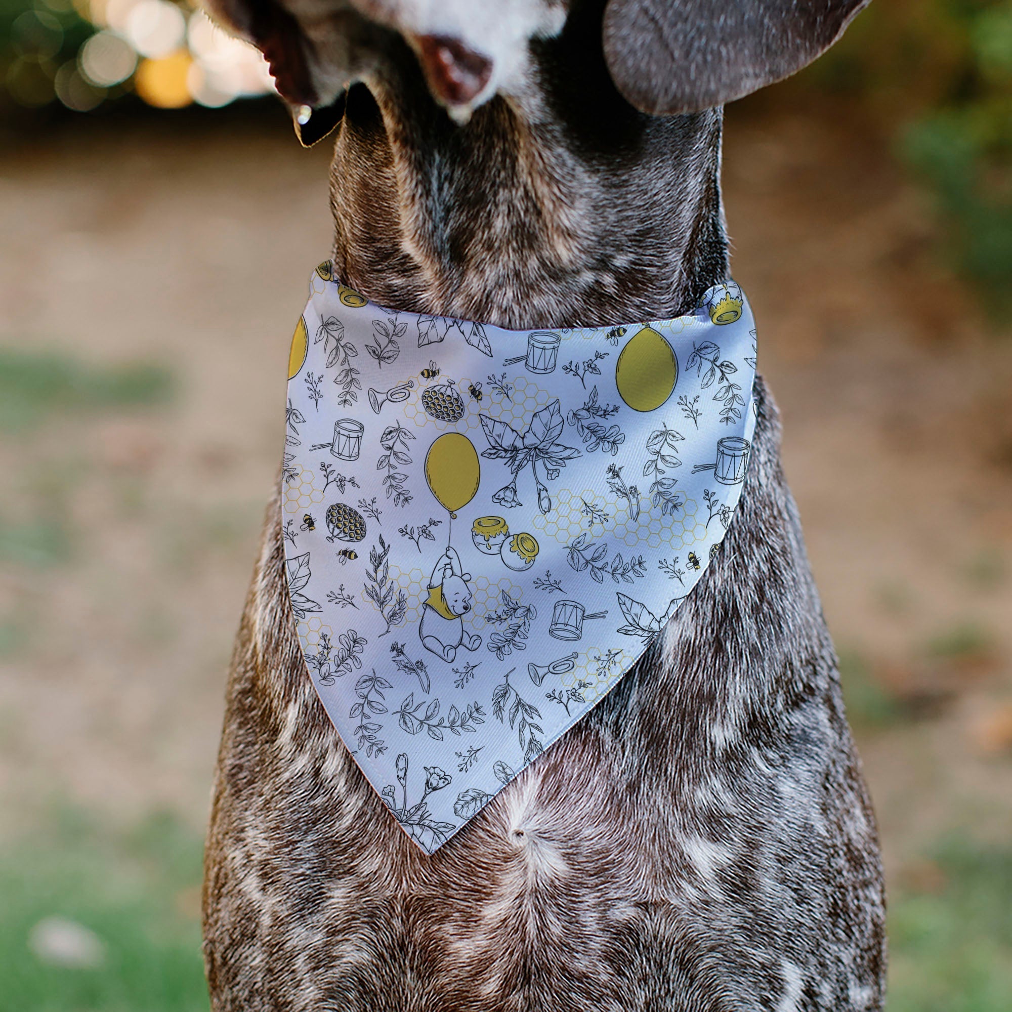 Pet Bandana - Winnie the Pooh Balloon Pose and Foliage Collage Beige/Black/Yellows 