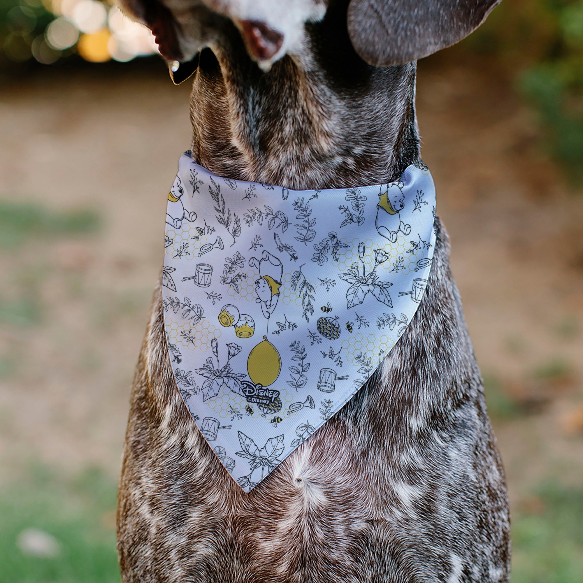 Pet Bandana - Winnie the Pooh Balloon Pose and Foliage Collage Beige/Black/Yellows 
