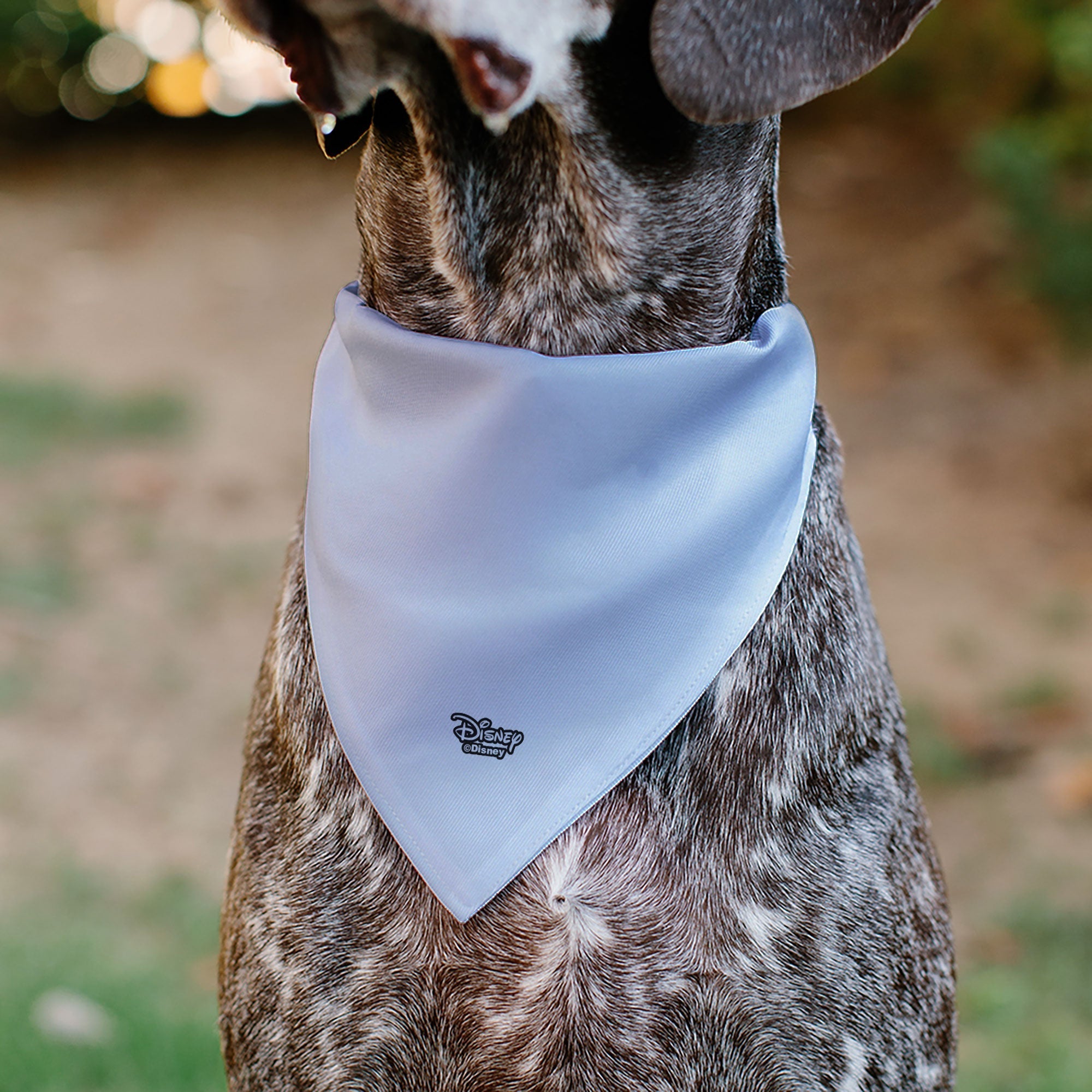 Pet Bandana - Disney Dogs 9-Dog Group Collage/Stars White/Black/Yellow 