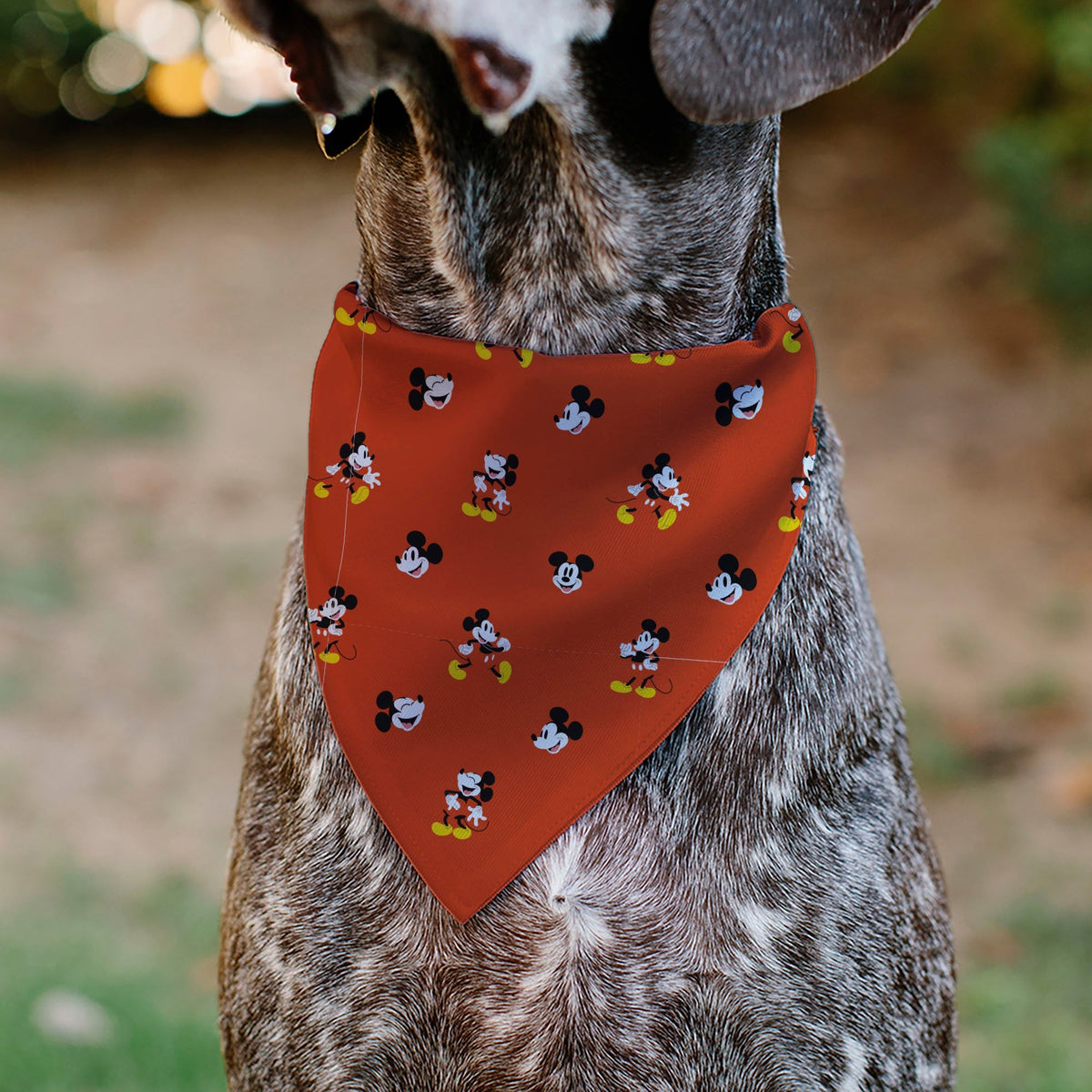 Pet Bandana - Mickey Mouse Poses and Expressions Scattered Red 