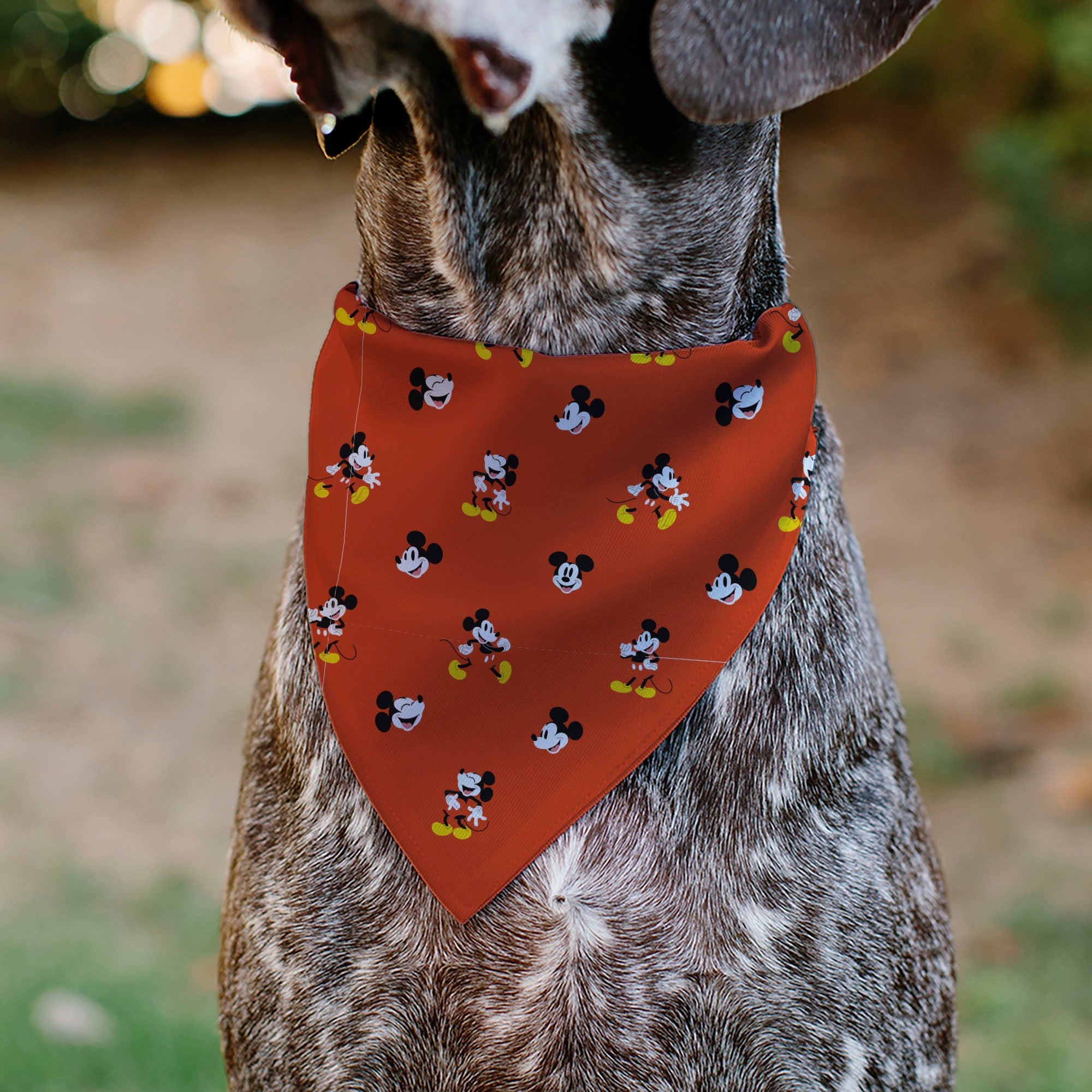 Pet Bandana - Mickey Mouse Poses and Expressions Scattered Red 