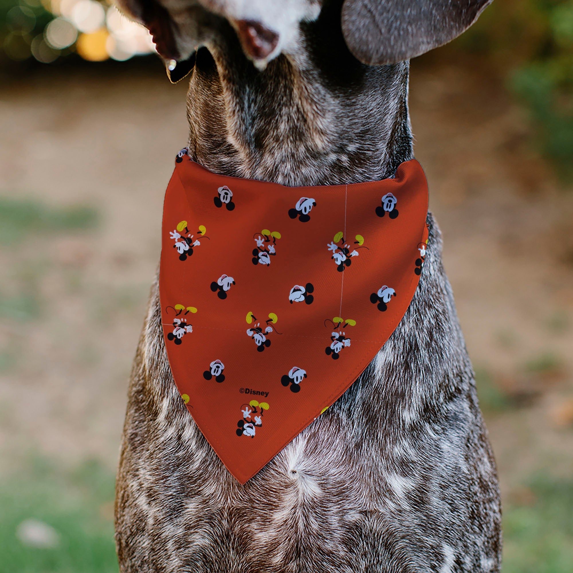 Pet Bandana - Mickey Mouse Poses and Expressions Scattered Red 