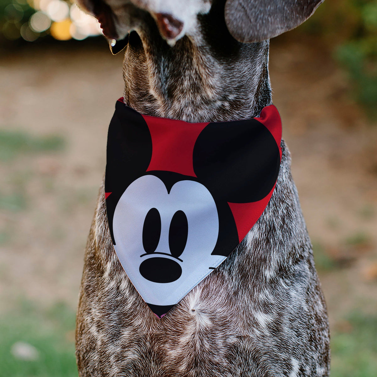 Pet Bandana - Mickey Mouse Face Character Close-Up Red 