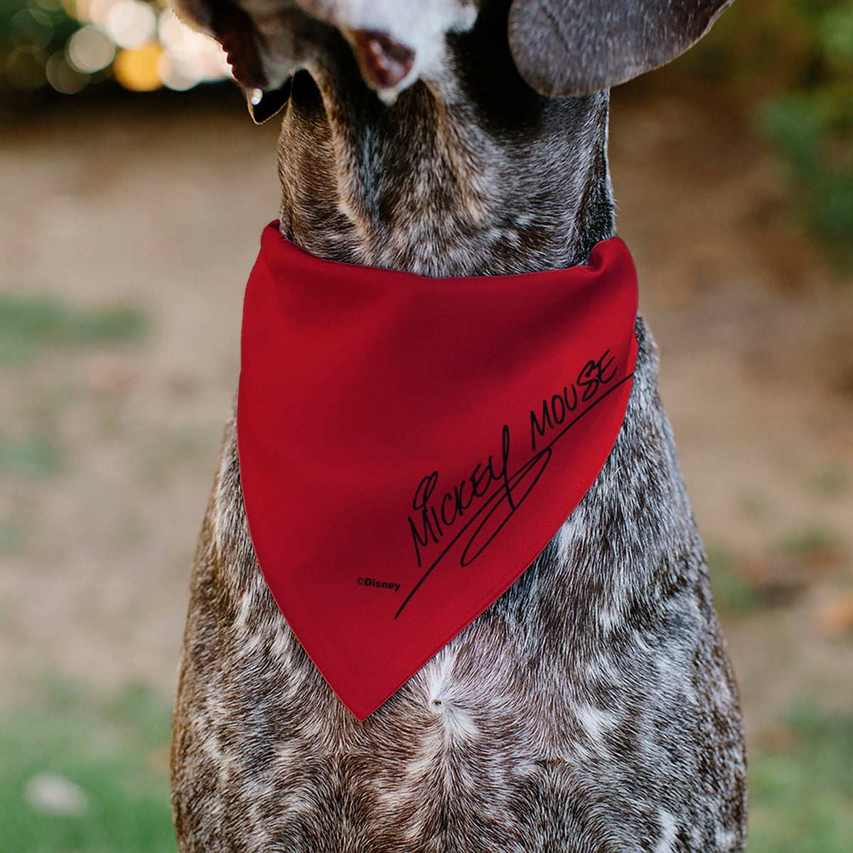 Pet Bandana - Mickey Mouse Face Character Close-Up Red 