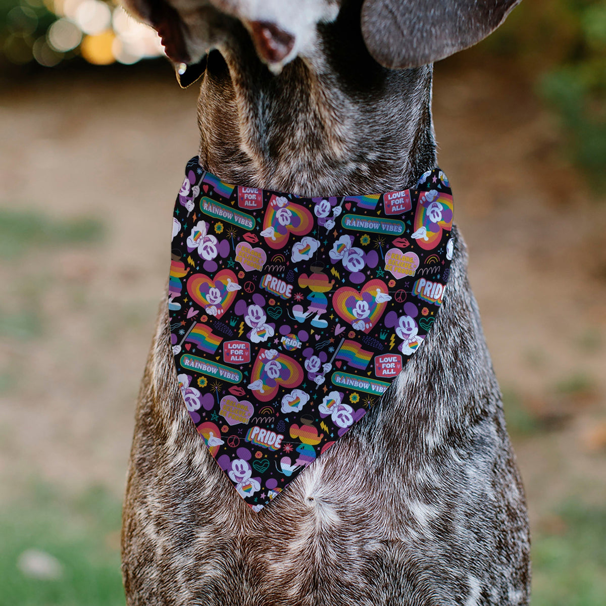 Pet Bandana - Mickey Mouse Pride Poses Rainbow Collage Black 