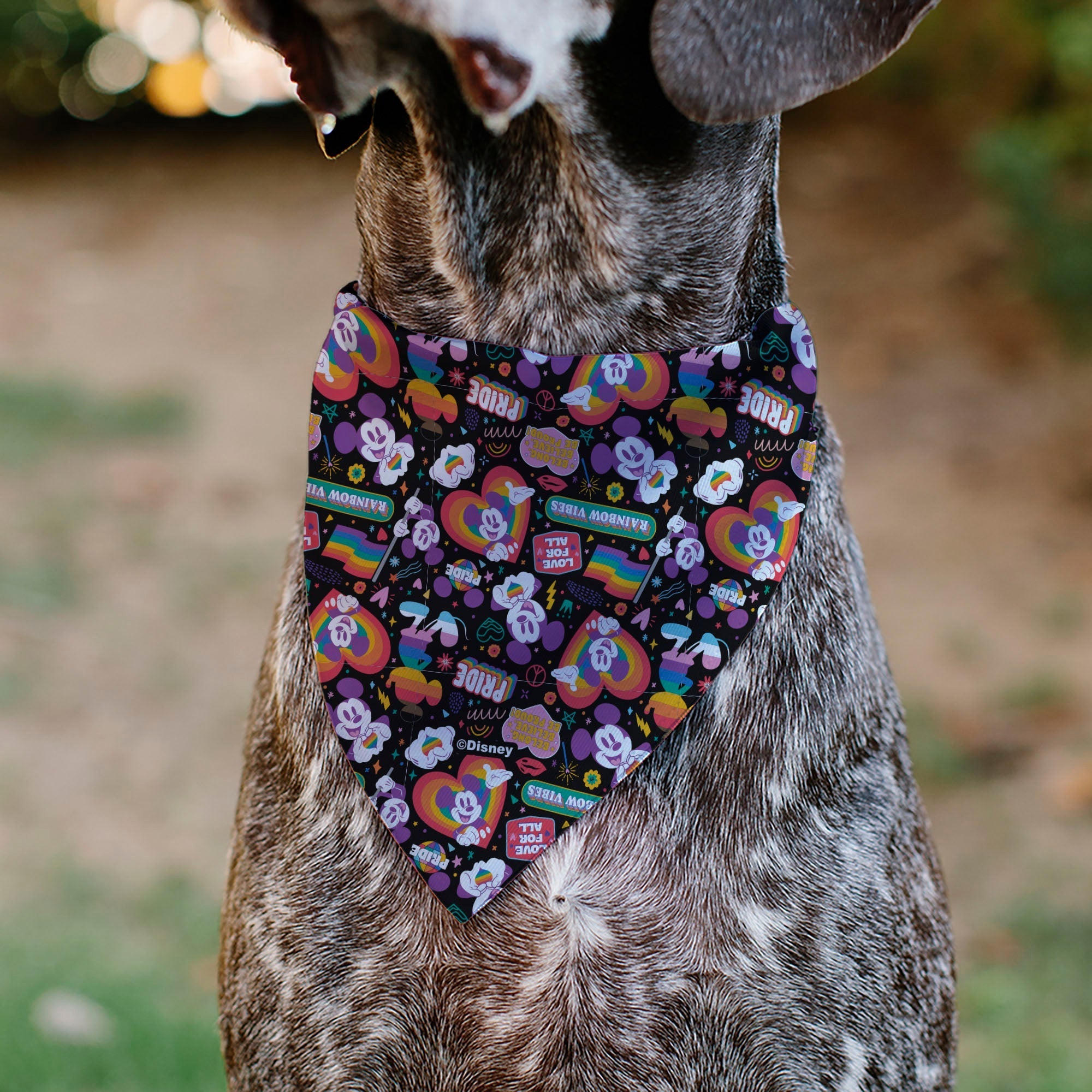 Pet Bandana - Mickey Mouse Pride Poses Rainbow Collage Black 