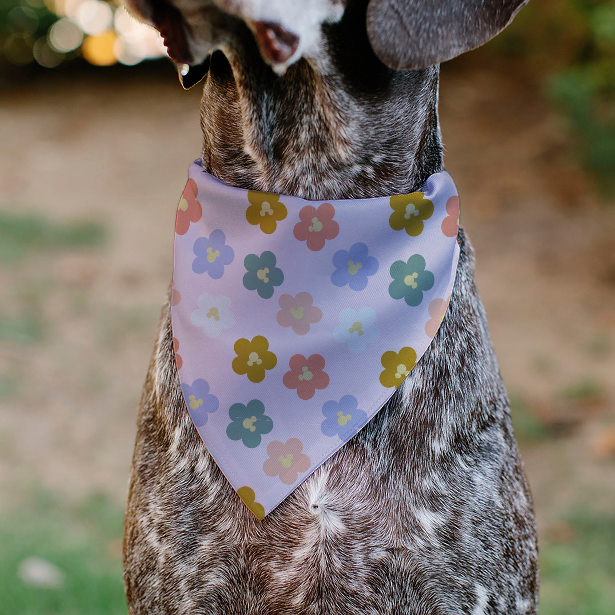 Pet Bandana - Mickey Mouse Ears Flower Icon Scattered Pink 