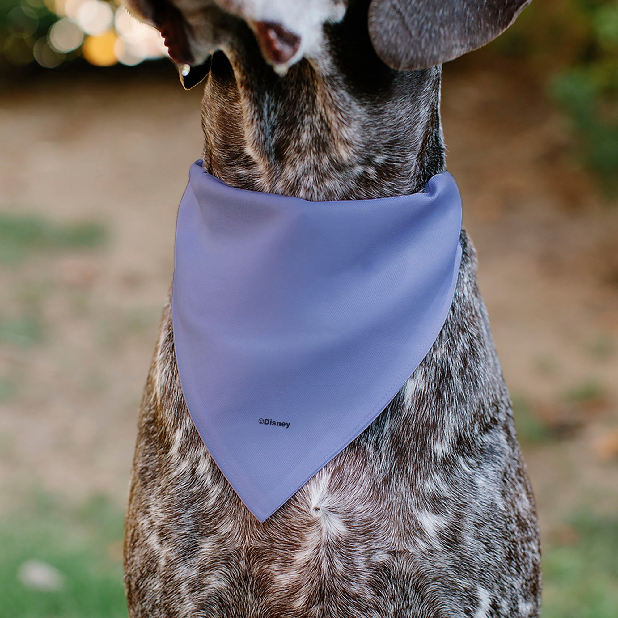 Pet Bandana - Mickey Mouse Ears Flower Icon Scattered Pink 