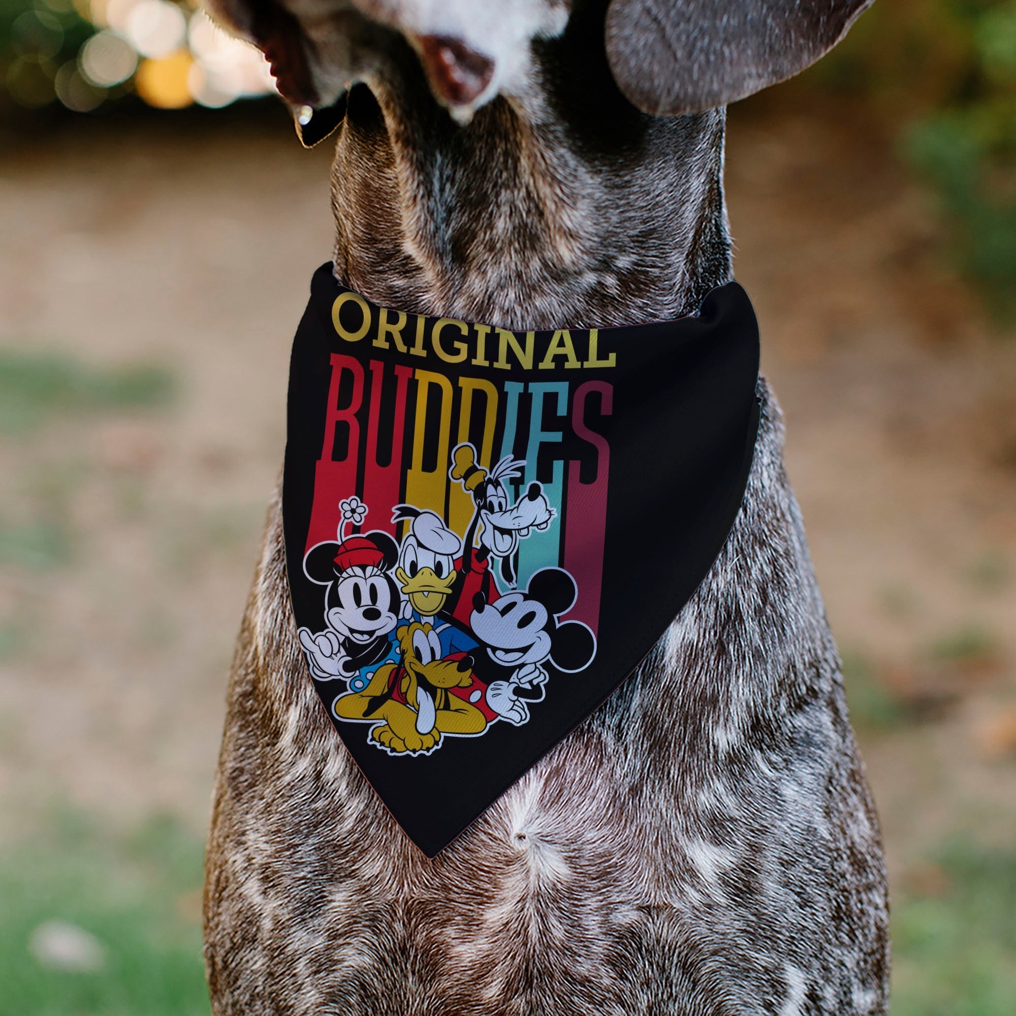Pet Bandana - Disney Fab Five ORIGINAL BUDDIES Group Pose Black 