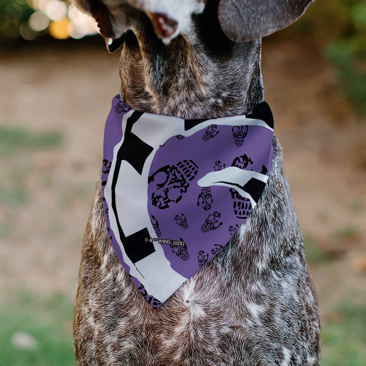 Pet Bandana - Beetlejuice Sandworm Pose and Skulls Icon Purple/Black