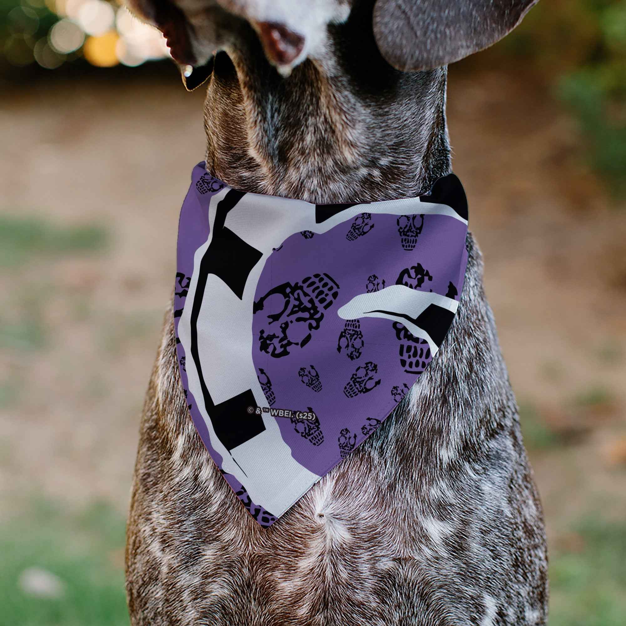 Pet Bandana - Beetlejuice Sandworm Pose and Skulls Icon Purple/Black