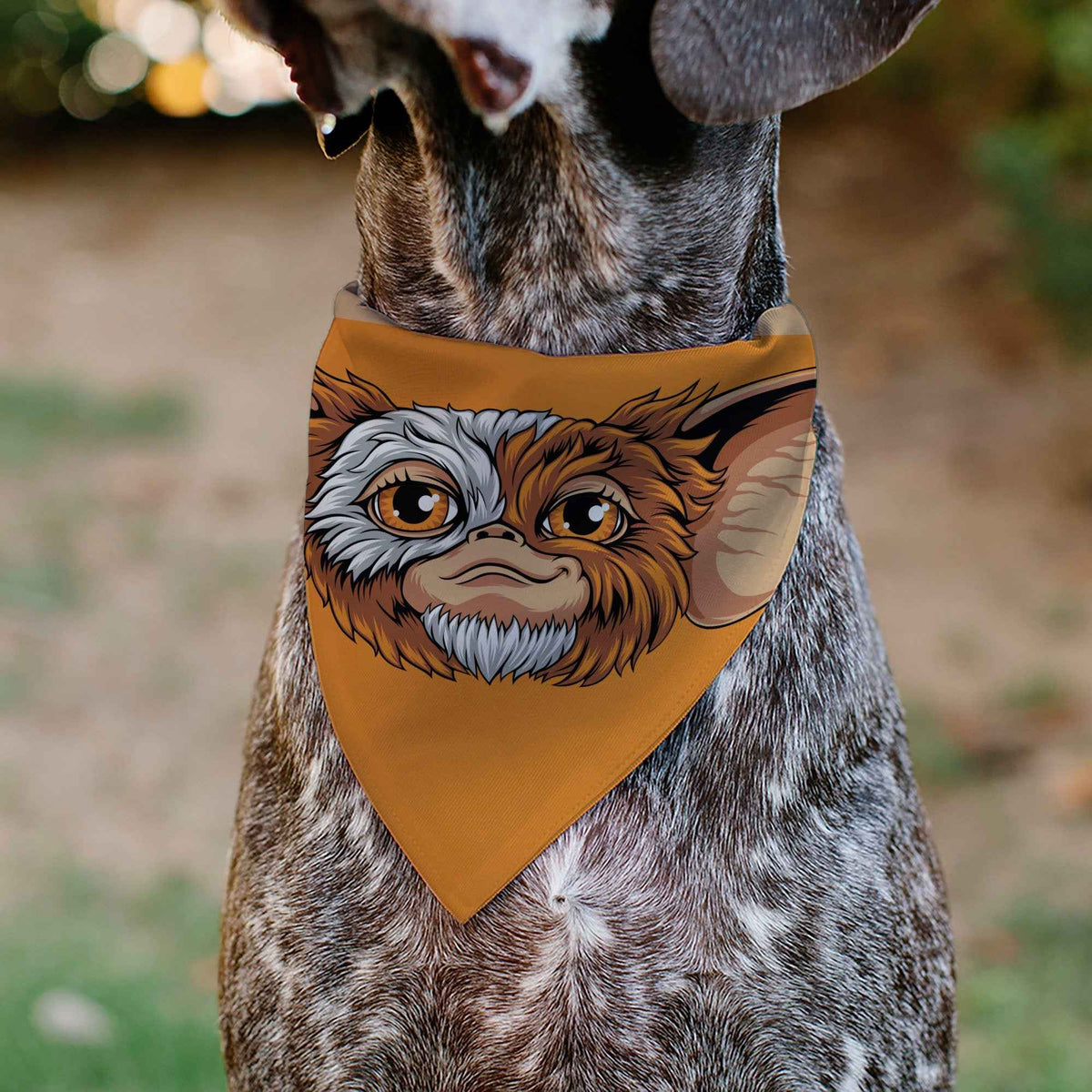 Pet Bandana - Gizmo Face and GREMLINS 1984 Varsity Text Beige/Blue/Yellow