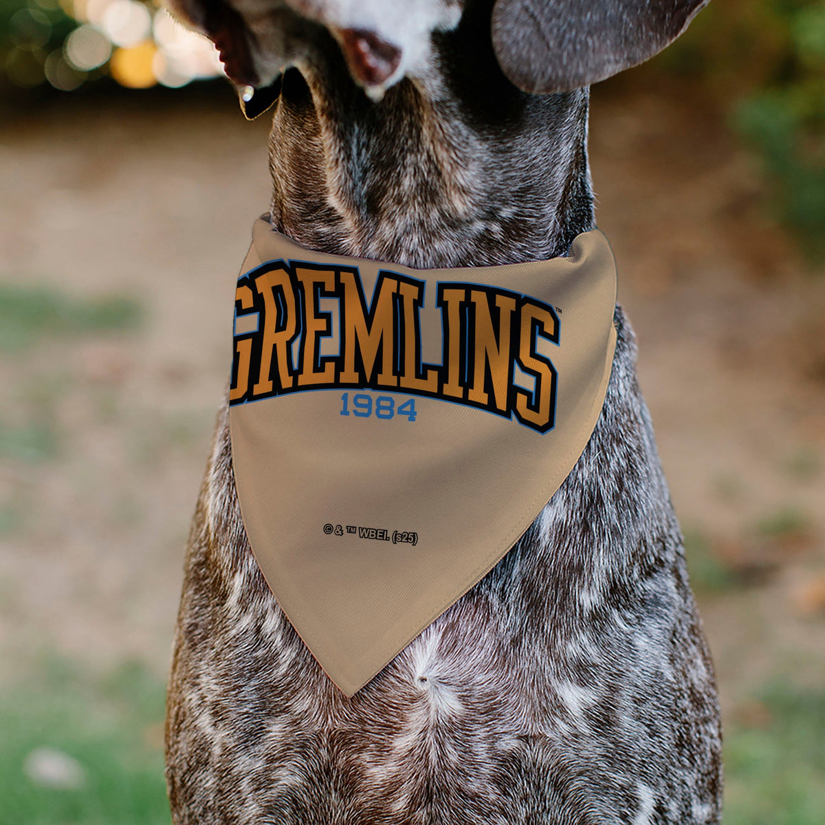 Pet Bandana - Gizmo Face and GREMLINS 1984 Varsity Text Beige/Blue/Yellow | HT Animal Supply