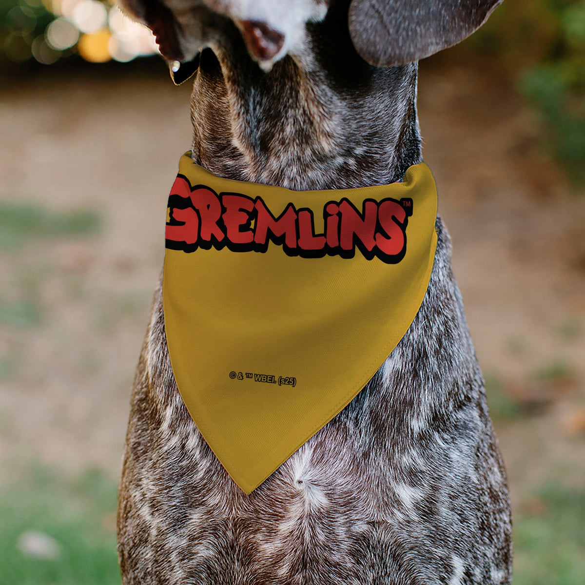 Pet Bandana - Stripe 84 Face and GREMLINS Title Logo | HT Animal Supply