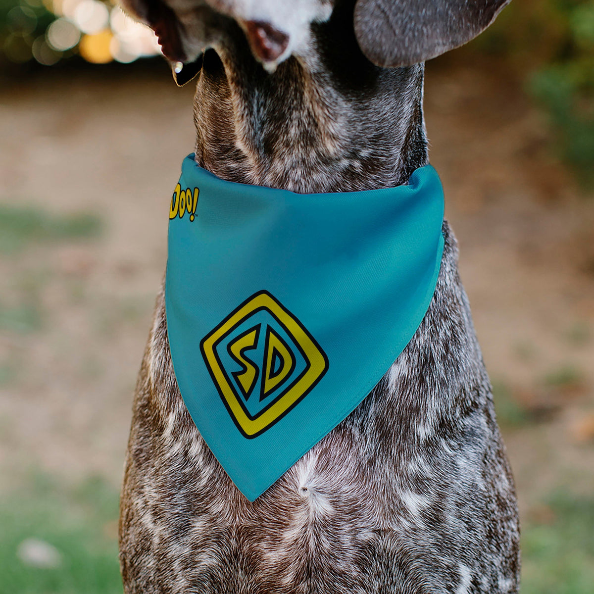 Pet Bandana - Scooby Doo Logo Centered and Collage Blue/Yellow 