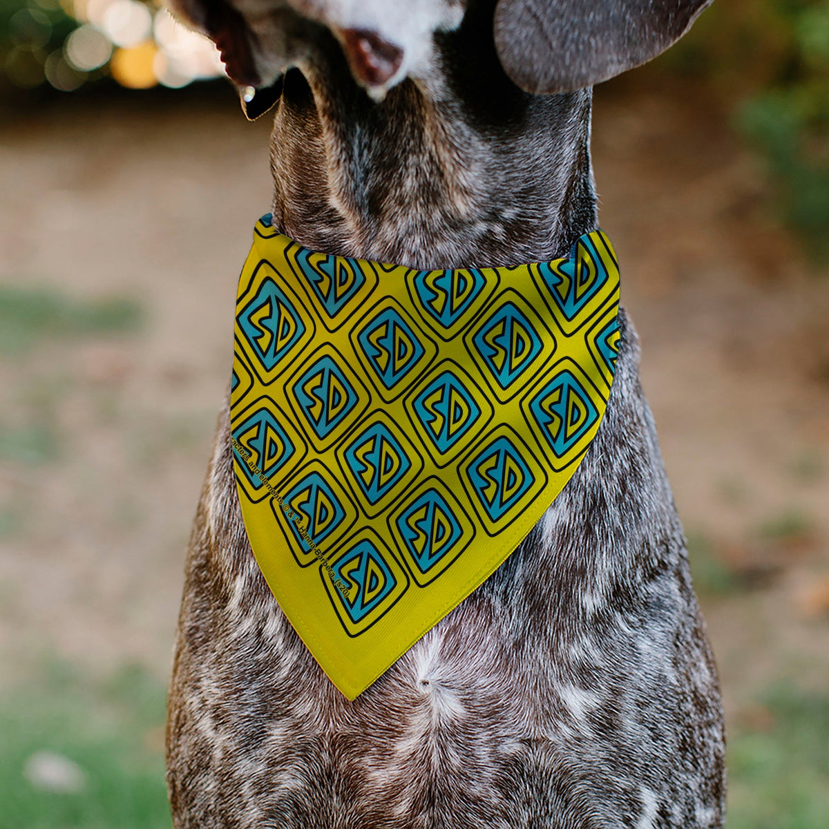 Pet Bandana - Scooby Doo Logo Centered and Collage Blue/Yellow 