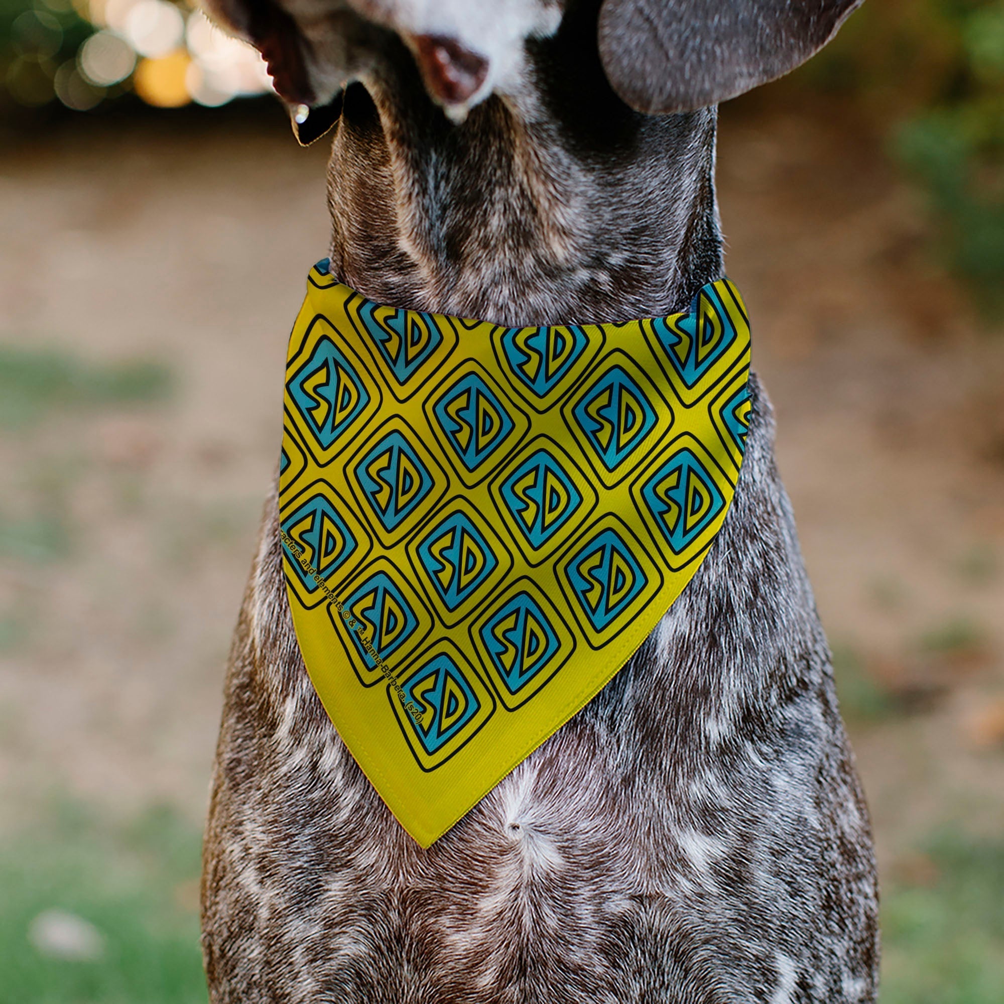 Pet Bandana - Scooby Doo Logo Centered and Collage Blue/Yellow 