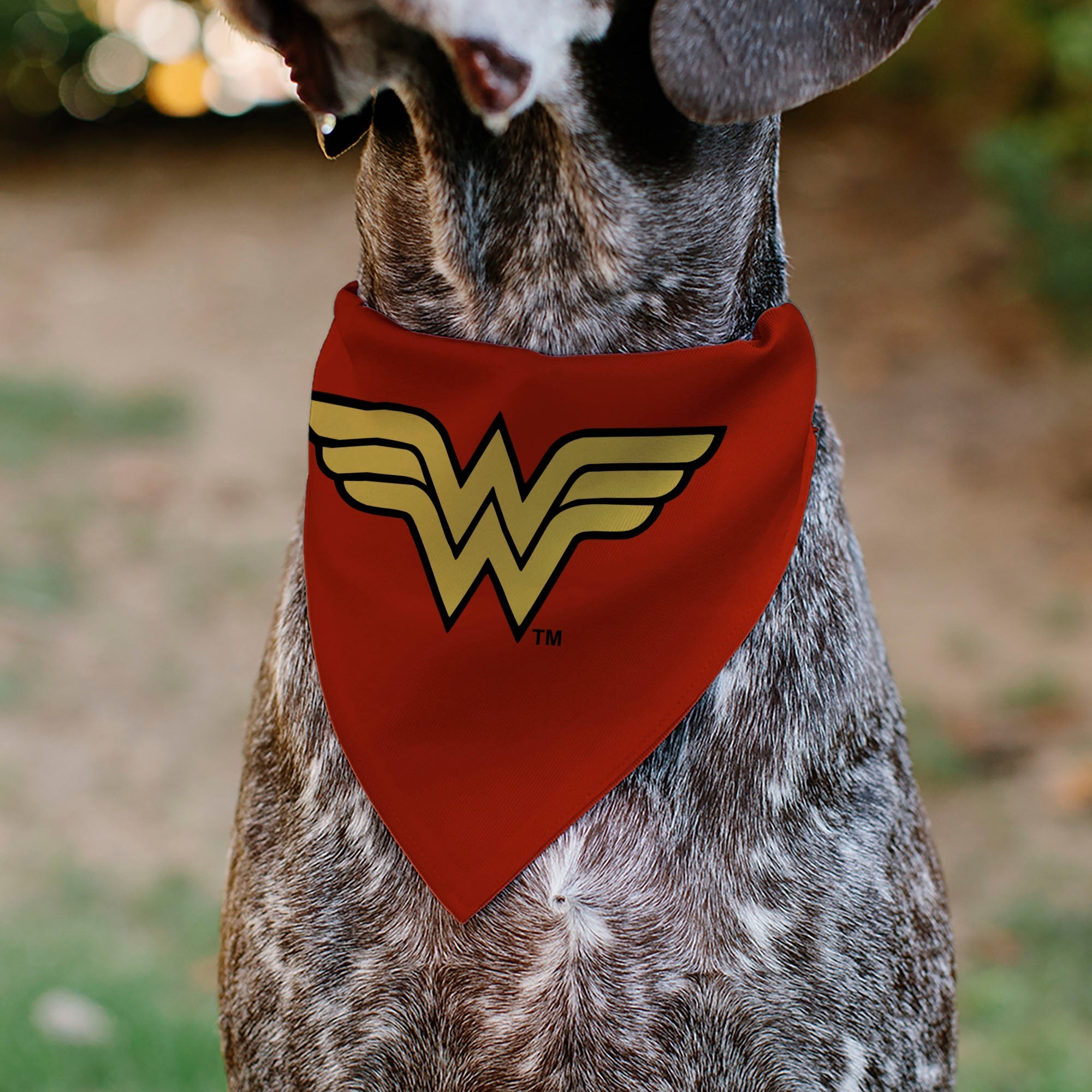 Pet Bandana - Wonder Woman WW Logo Red/Black/Yellow 
