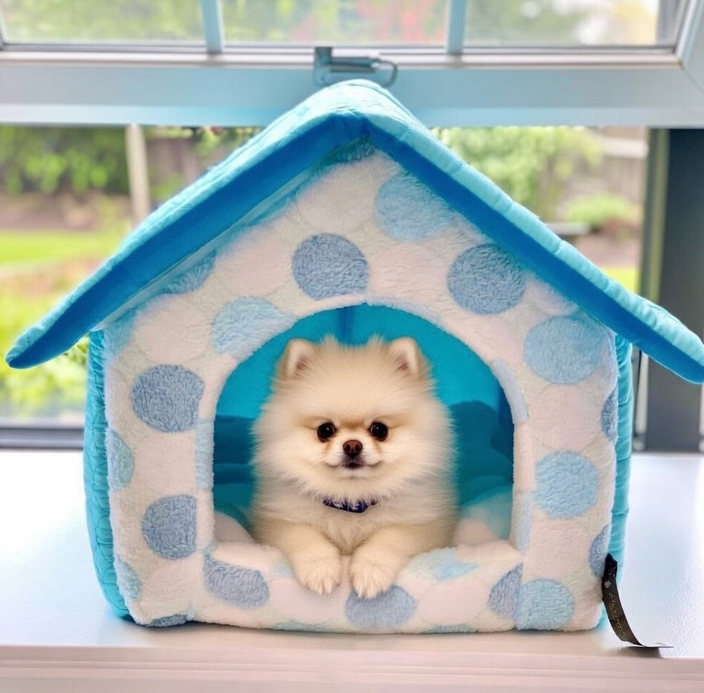 Parisian Pet Cotton Candy House-Blue