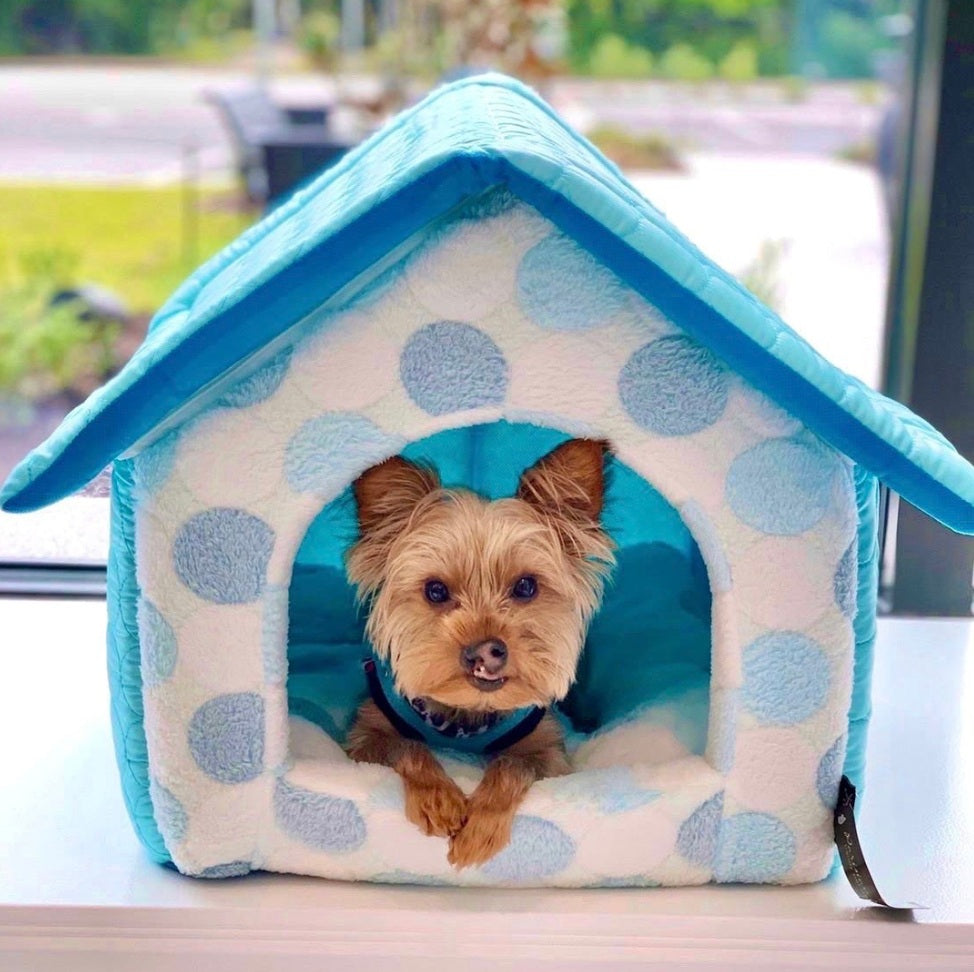 Parisian Pet Cotton Candy House-Blue
