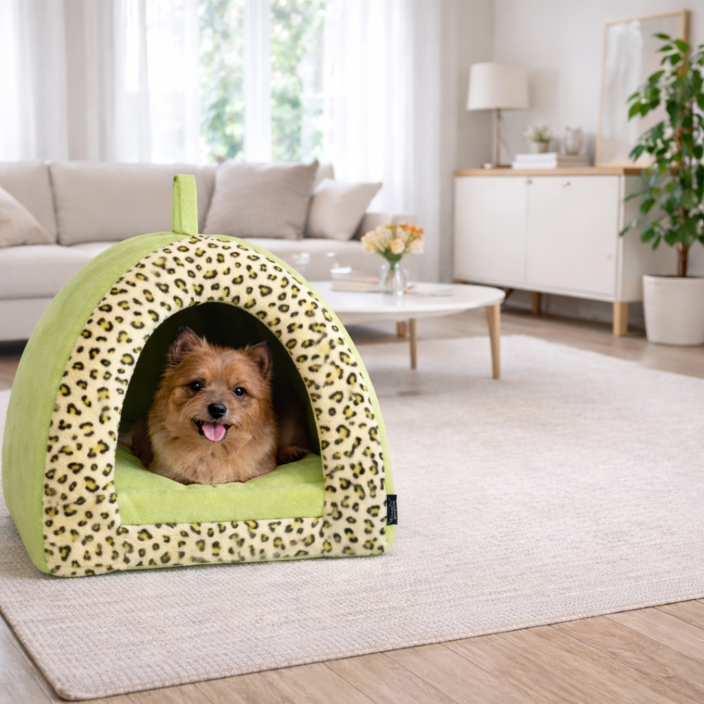 Parisian Pet Safari Cove-Green