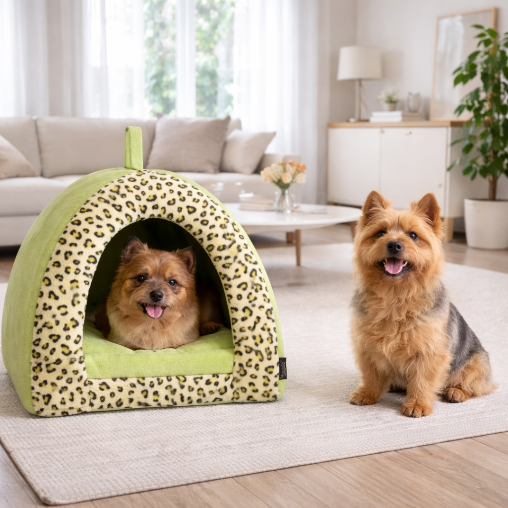 Parisian Pet Safari Cove-Green