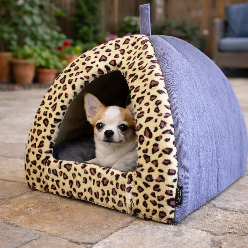 Parisian Pet Safari Cove-Purple