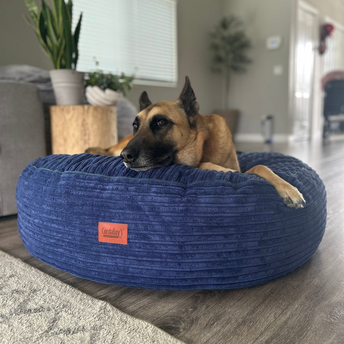 CordaRoys 50-Inch Waterproof Terry Corduroy Dog Bed