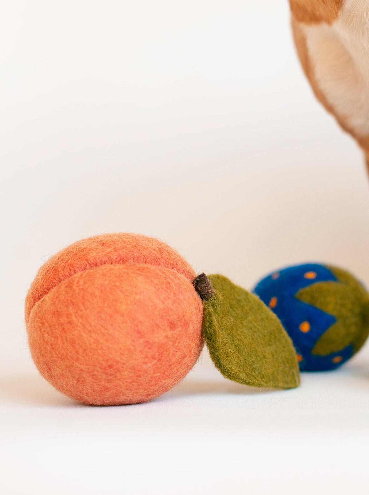 DOGGY PEACH | HT Animal Supply