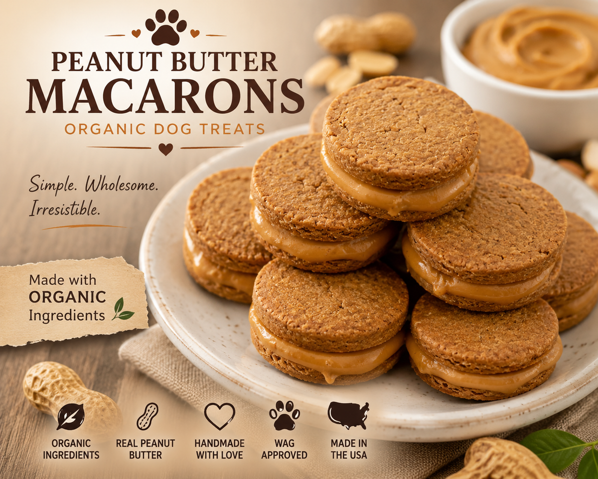 PAWsitively Organic Peanut Butter Macaron Dog Treats