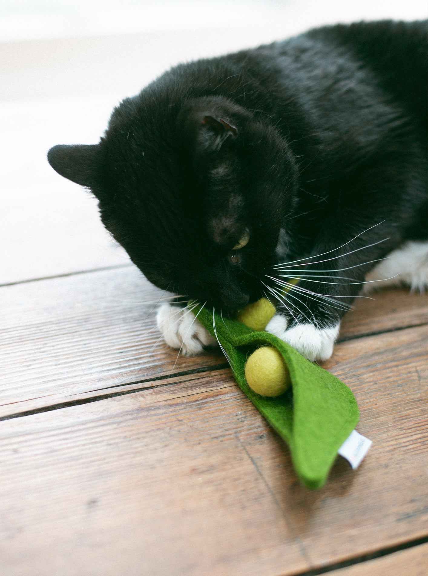Pea Pod Wool Cat Toy