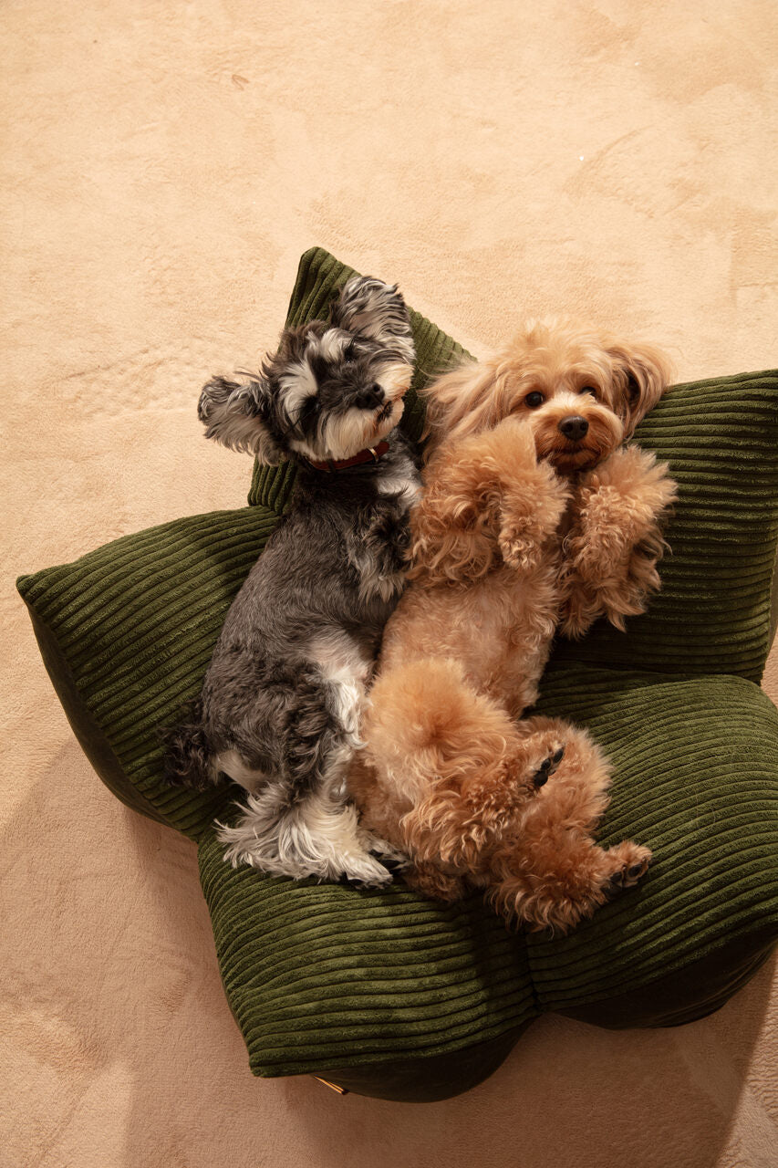 OULU x PEHOM - Cuddle Pet Pillow Bed - Navy Blue / Olive Green / Canyon Brown