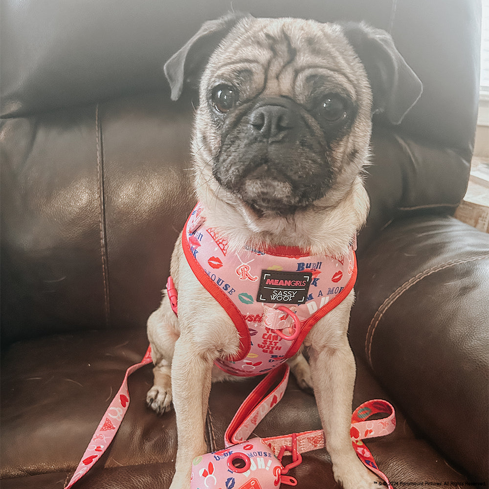 Dog Adjustable Harness - Mean Girls™