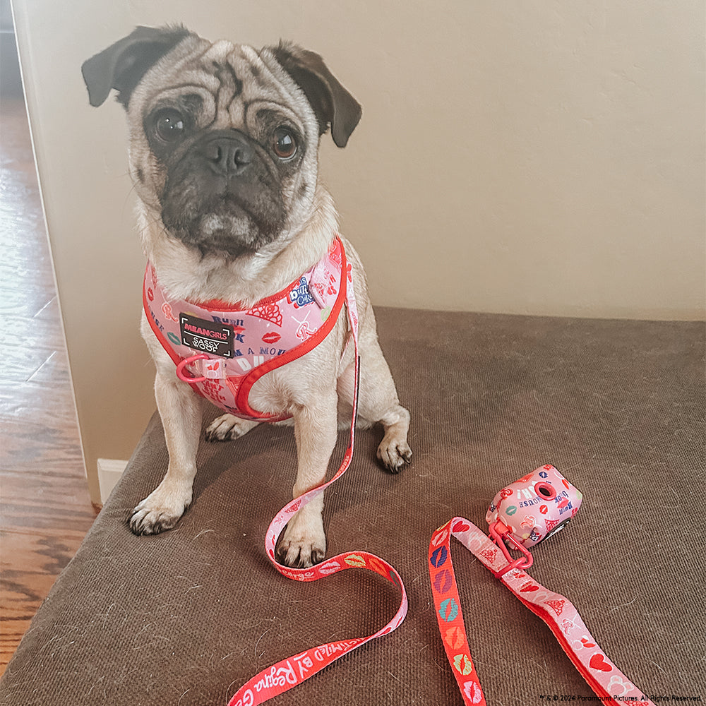 Dog Collar - Mean Girls™