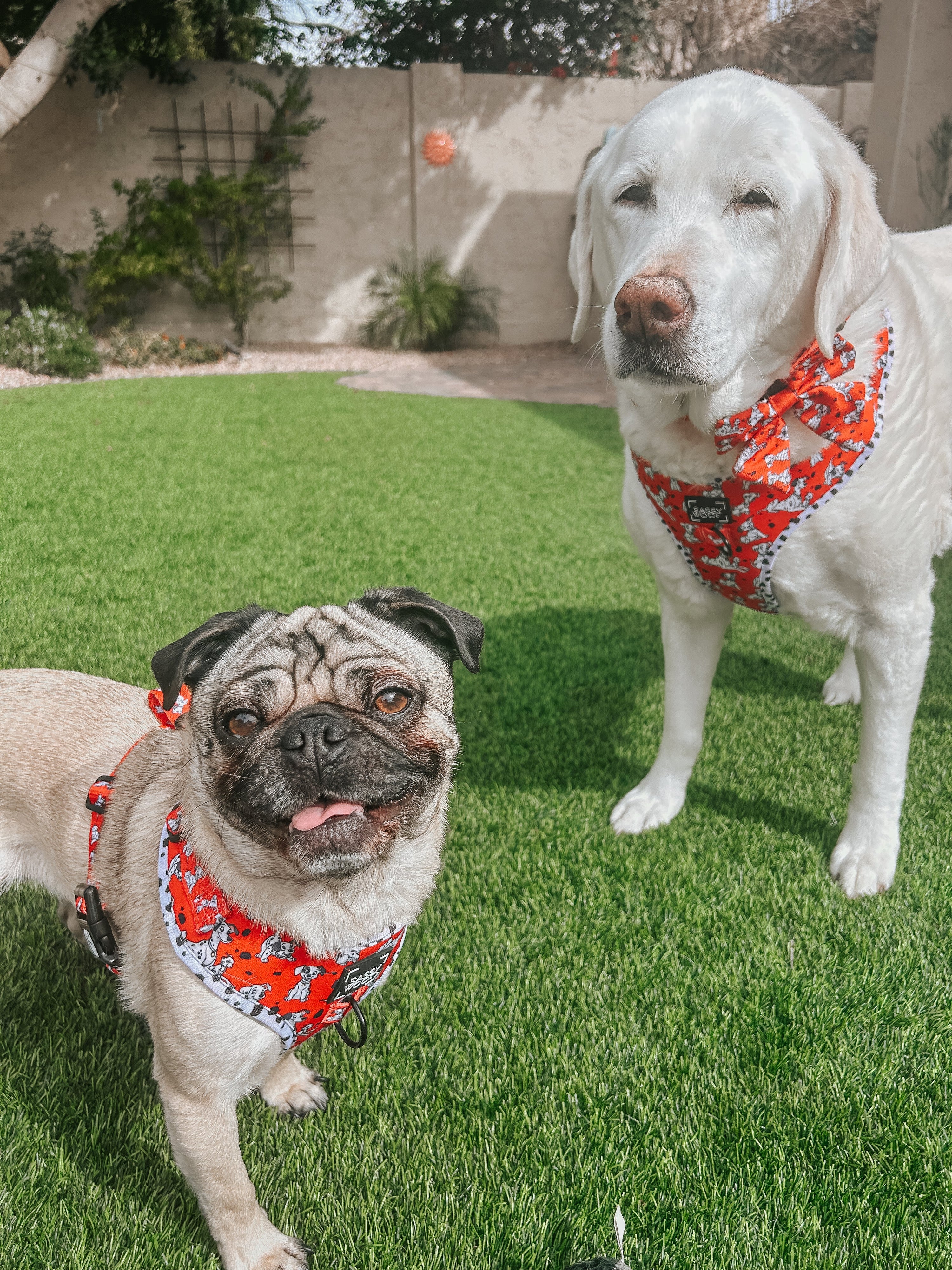 Dog Adjustable Harness - Disneys 101 Dalmatians