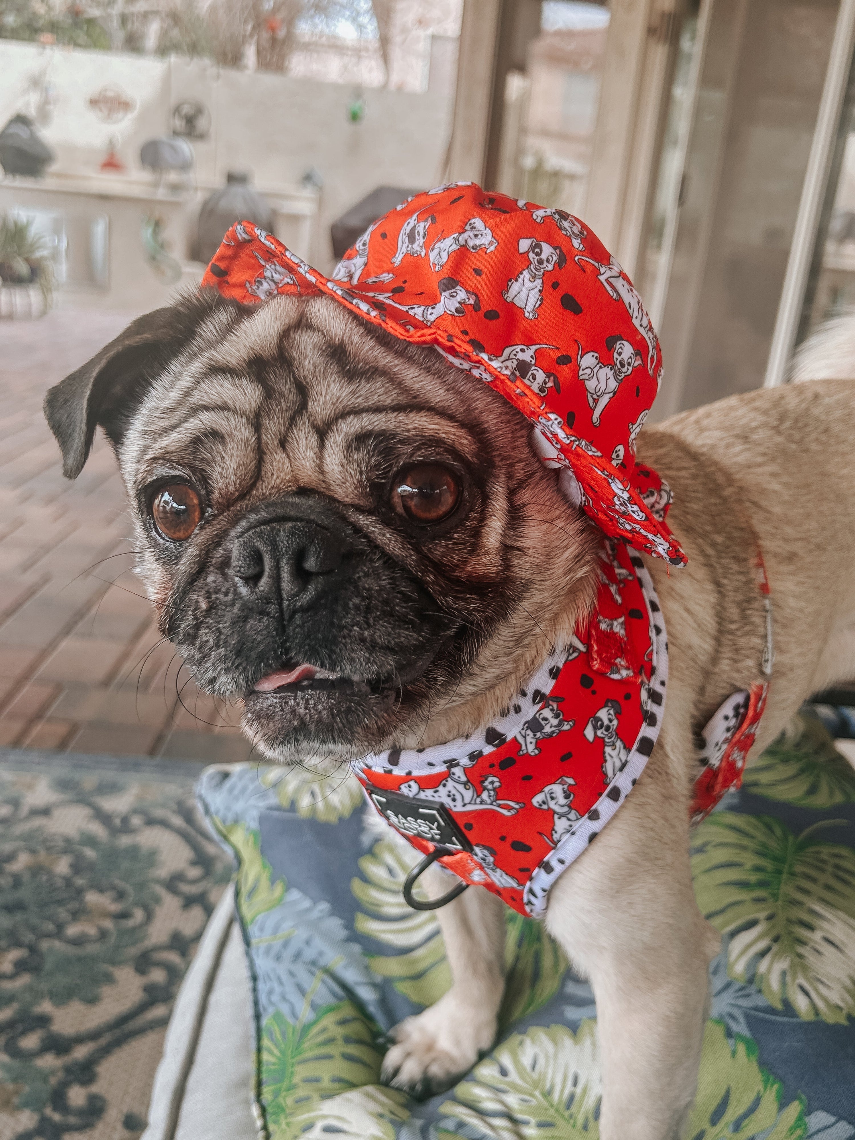 Dog Bucket Hat - Disneys 101 Dalmatians