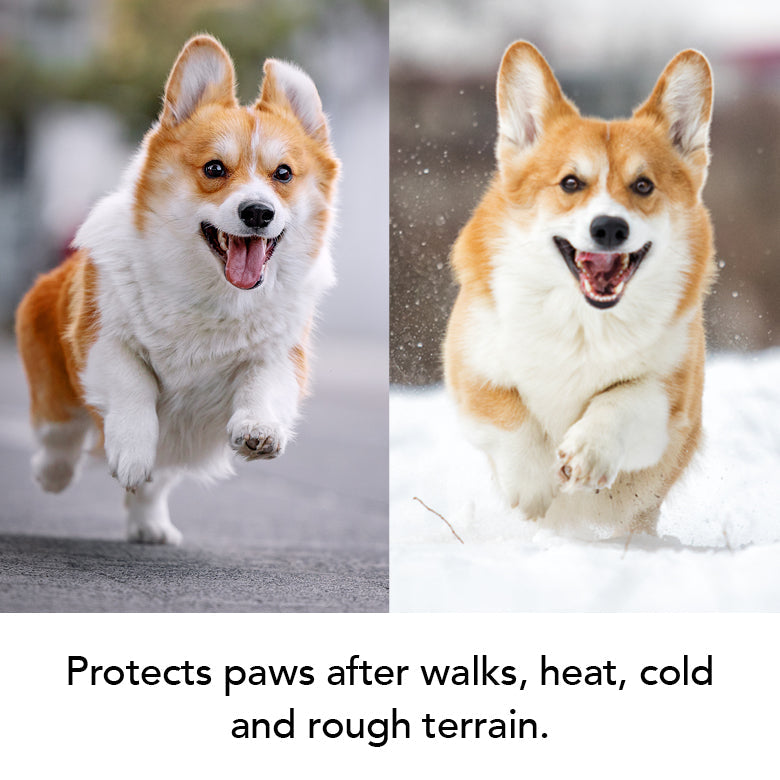 THE BALM | HT Animal Supply