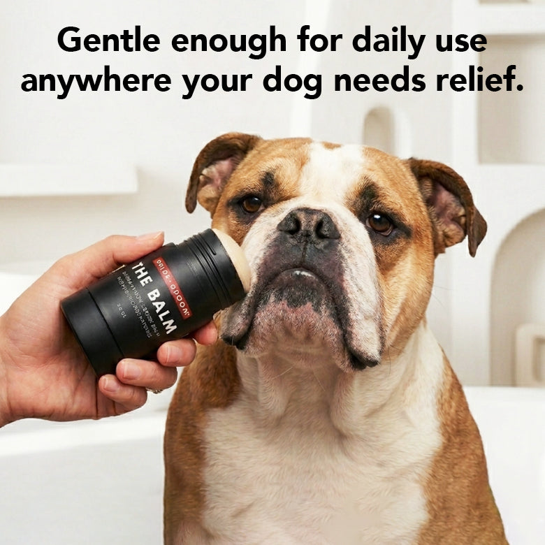 THE BALM | HT Animal Supply