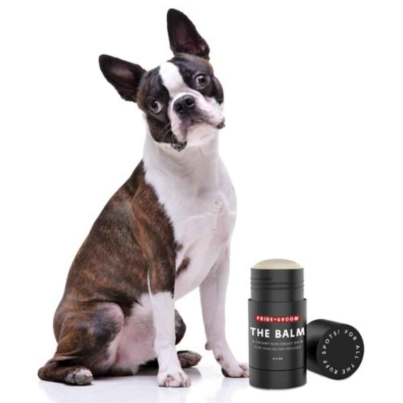 PRIDE+GROOM Paw Care Dog Grooming Bundle