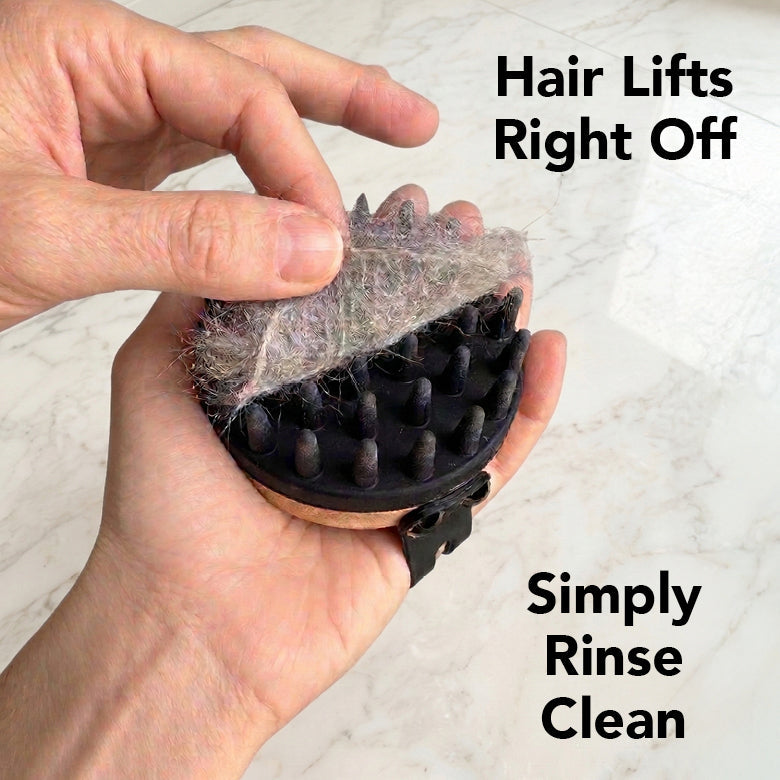 PRIDE+GROOM Mid Groom Dog Grooming Kit