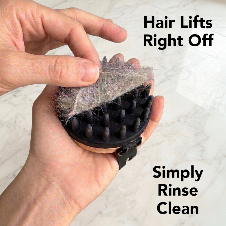 PRIDE+GROOM Mid Groom Dog Grooming Kit