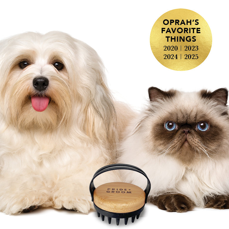 THE BATH BRUSH | HT Animal Supply