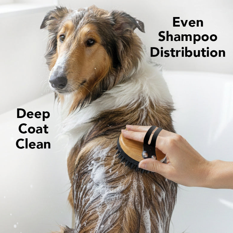 THE BATH BRUSH | HT Animal Supply