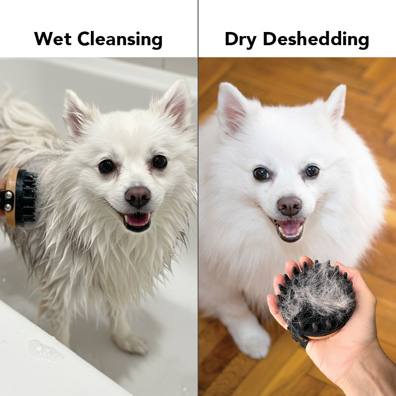 THE BATH BRUSH | HT Animal Supply