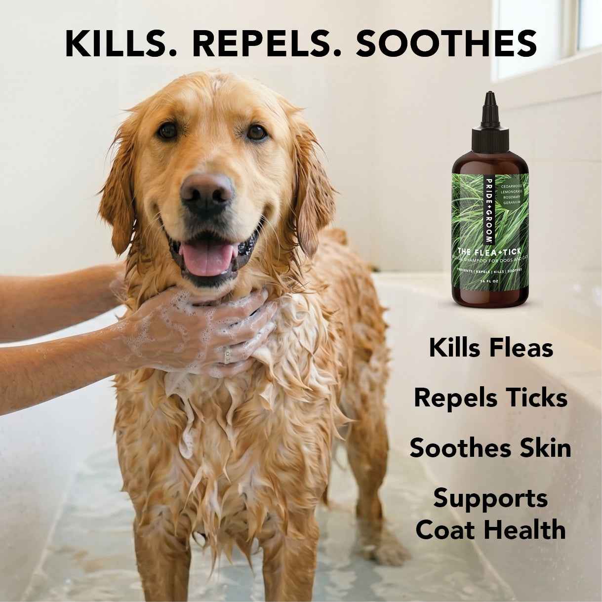 PRIDE+GROOM Flea + Tick Dog Shampoo