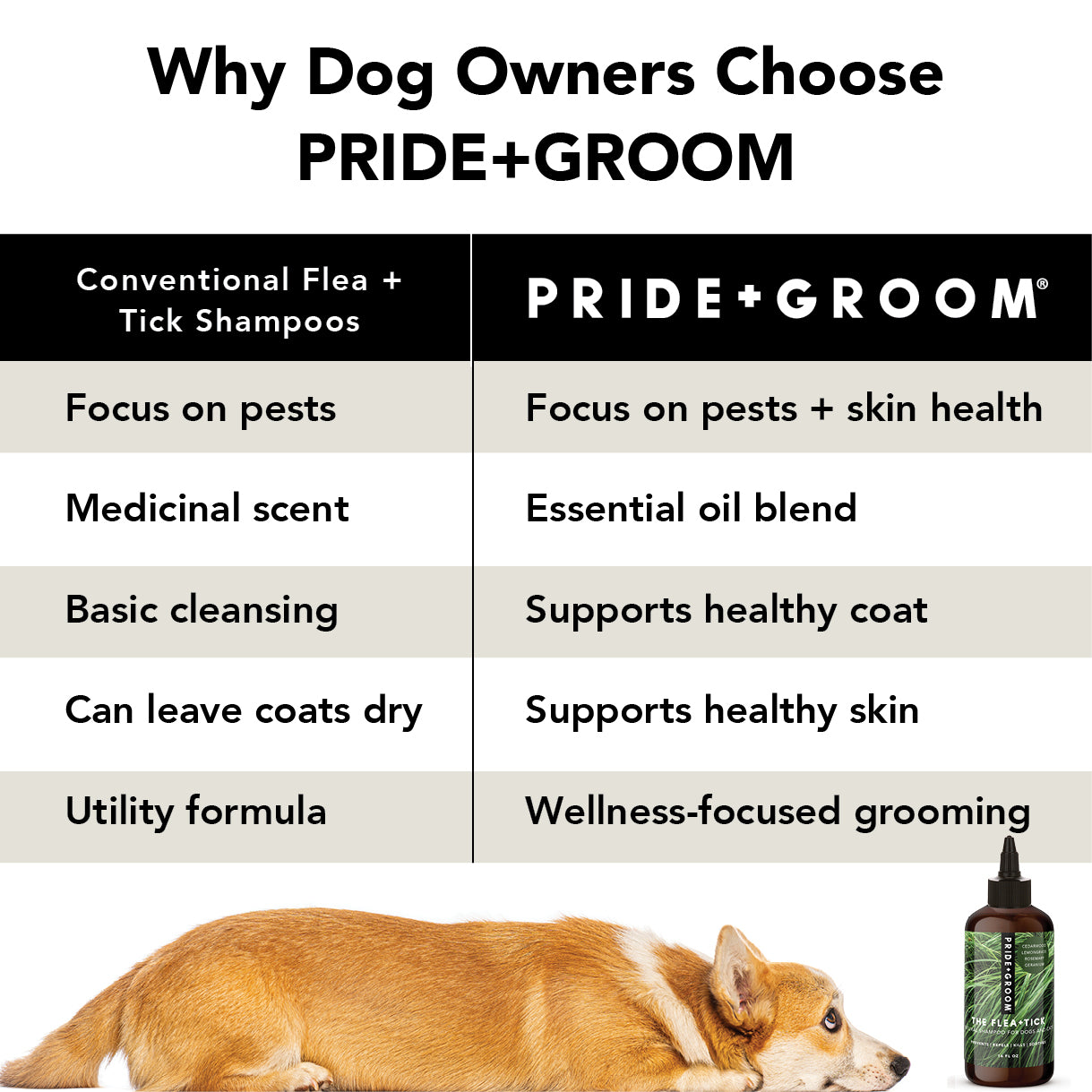 PRIDE+GROOM Flea + Tick Dog Shampoo