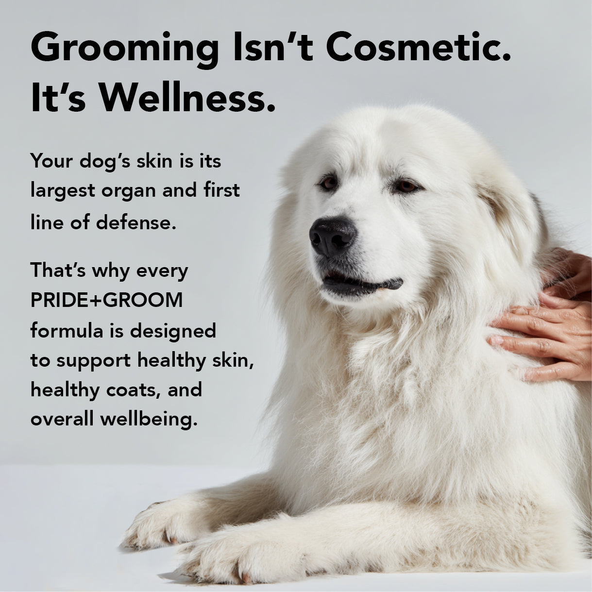 PRIDE+GROOM Flea + Tick Dog Shampoo