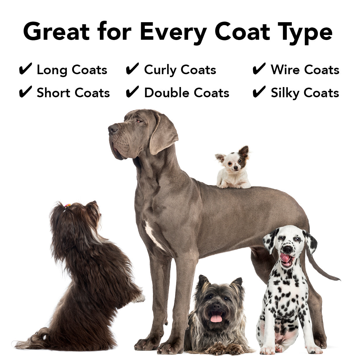 PRIDE+GROOM Flea + Tick Dog Shampoo