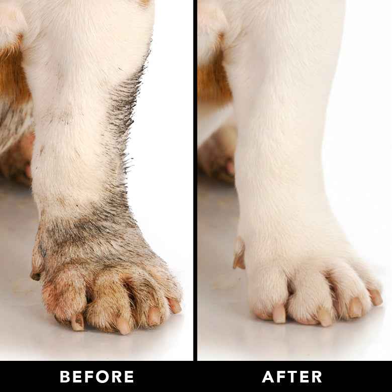 PRIDE+GROOM Mid Groom Dog Grooming Kit